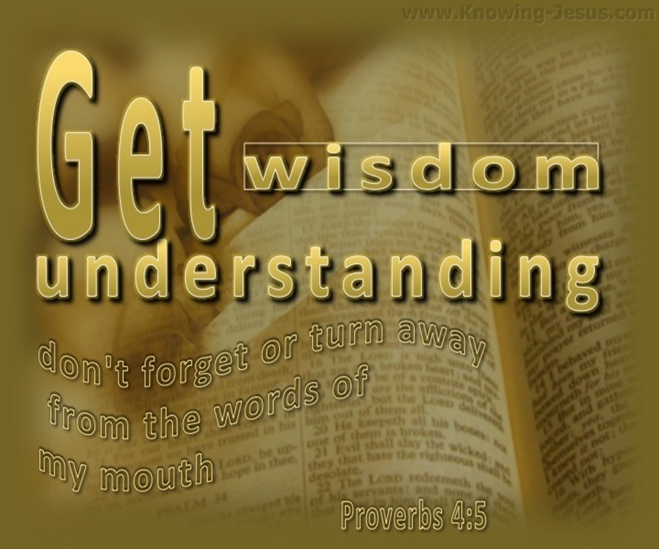 Proverbs 4:5 Get Wisdom Get Understanding (gold)